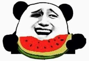 娱乐圈吃瓜群众免费吃瓜,免费吃瓜，尽享明星幕后故事