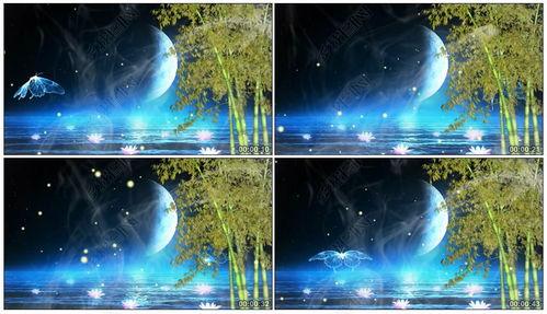 月光爆料最新视频下载 第3张 月光爆料最新视频下载 第3张